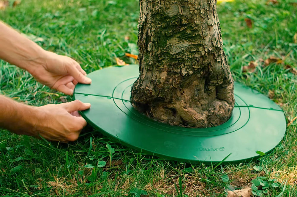 5x veľká a malá ochrana stromov, rastlín Treeguard