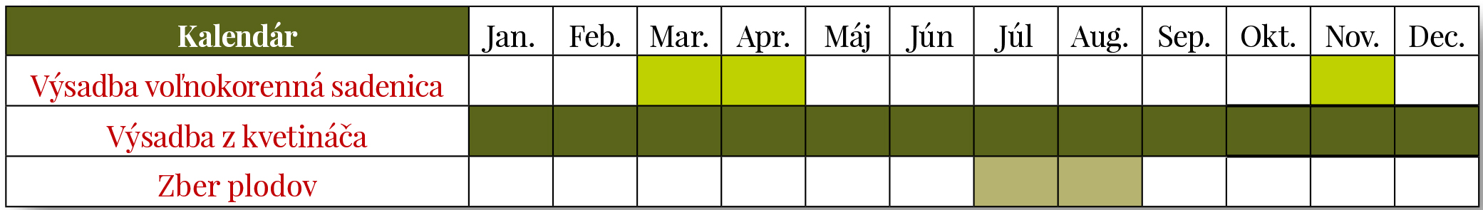 Tabuľka výsadby a zberu plodov moruše