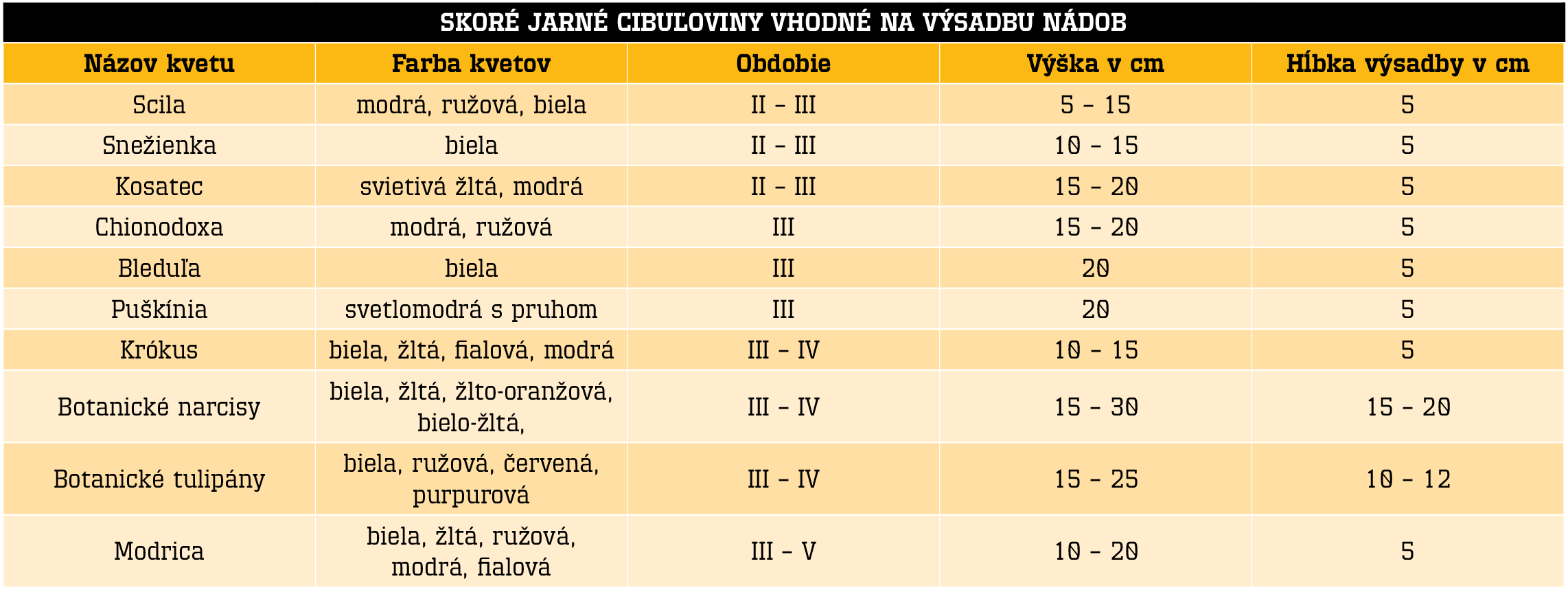 Tabuľka cibuľovín vhodných na výsadbu do nádob