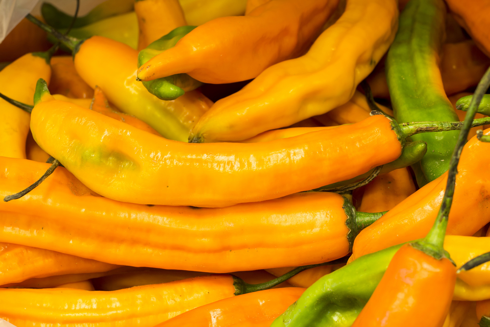 Paprika bobuľnatá, Ají amarillo