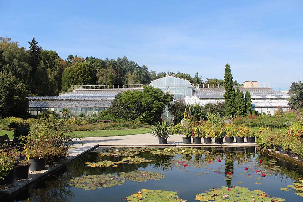 Botanická záhrada Košice