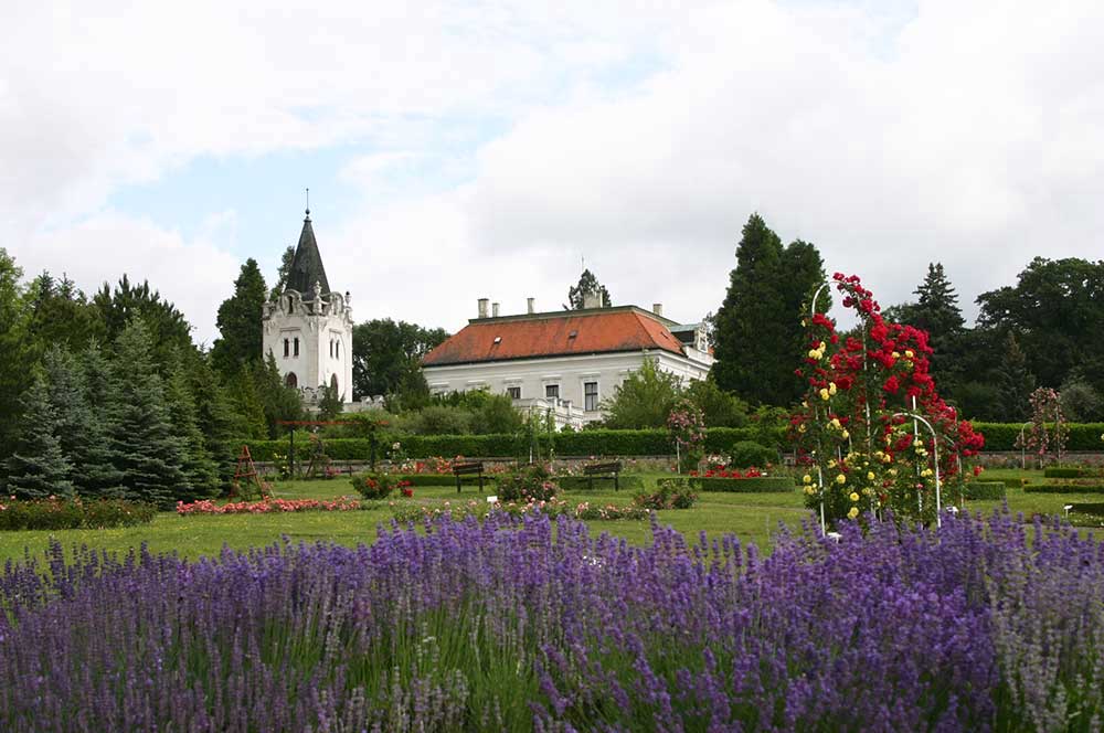 Arborétum Mlyňany