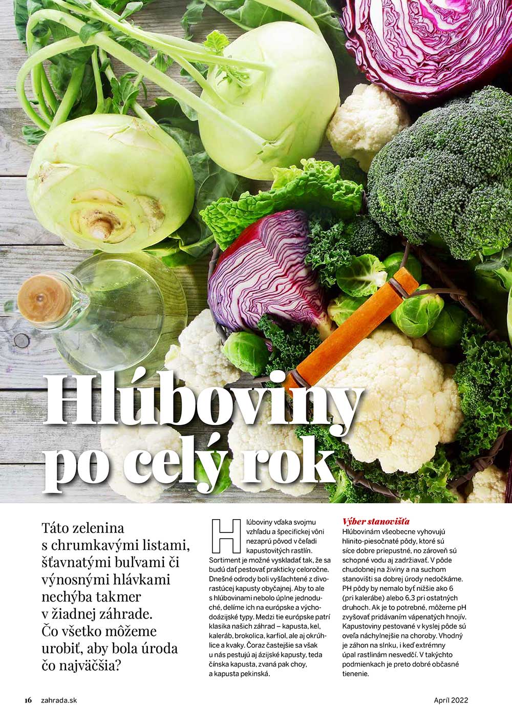 Hluboviny po cely rok 1