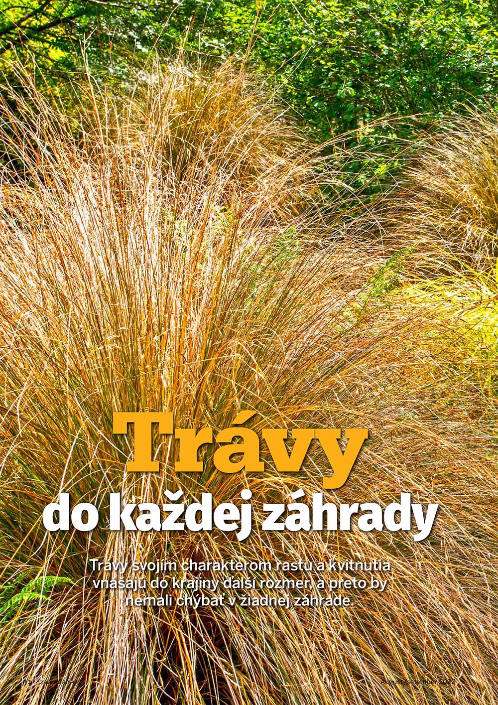 Travy do kazdej zahrady 6 2022 1