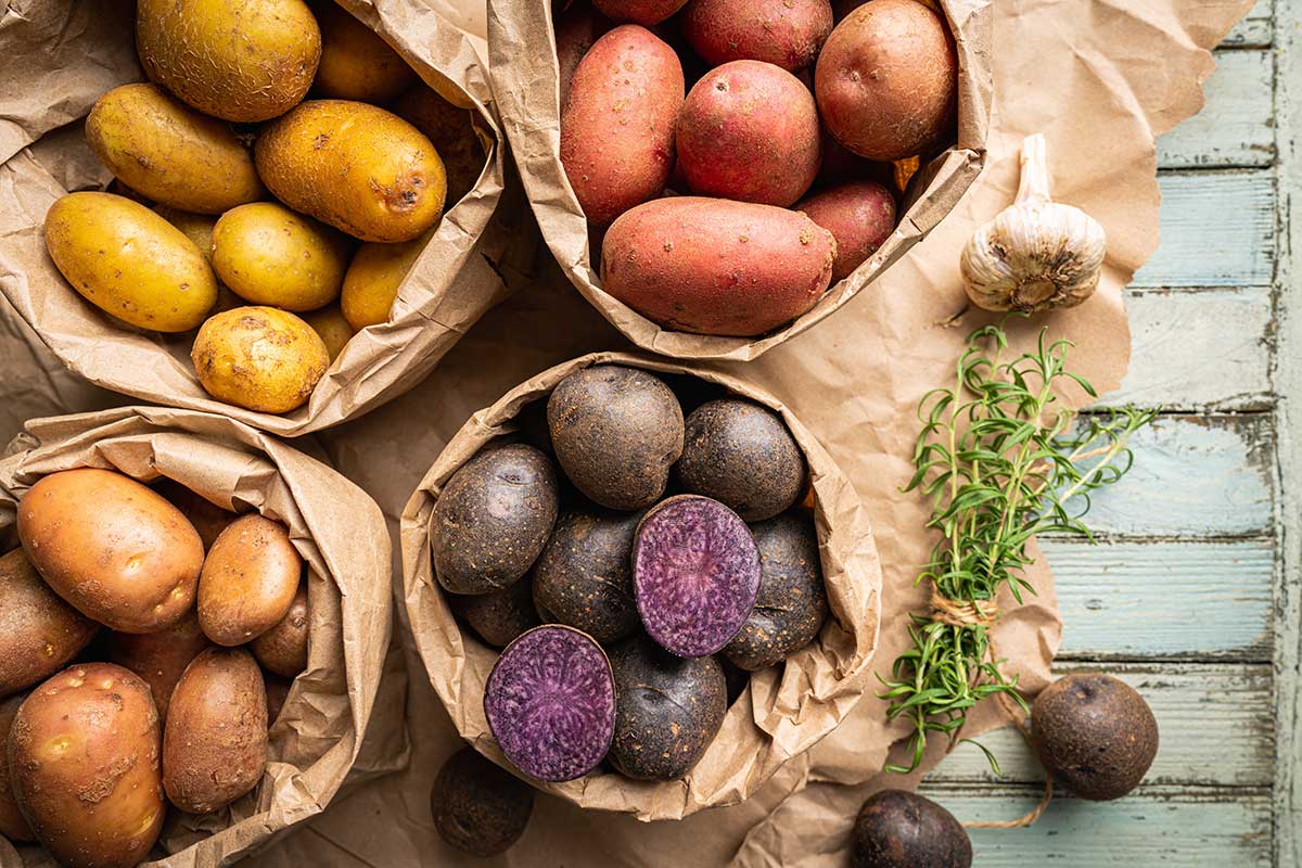 Druhy zemiakov: fialové, žlté, ružové