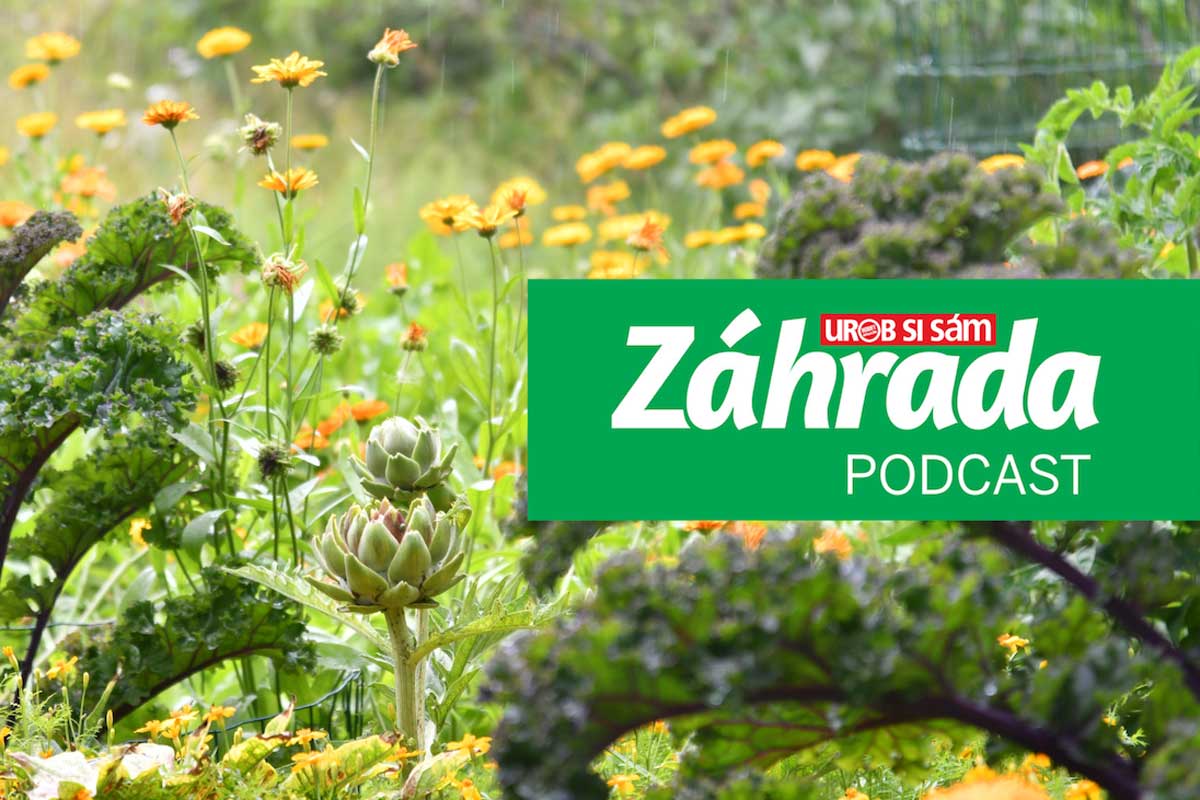 Podcast Záhrada o zásadách prírodnej záhrady