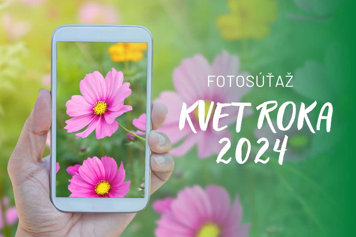 Fotosúťaž Kvet roka 2024