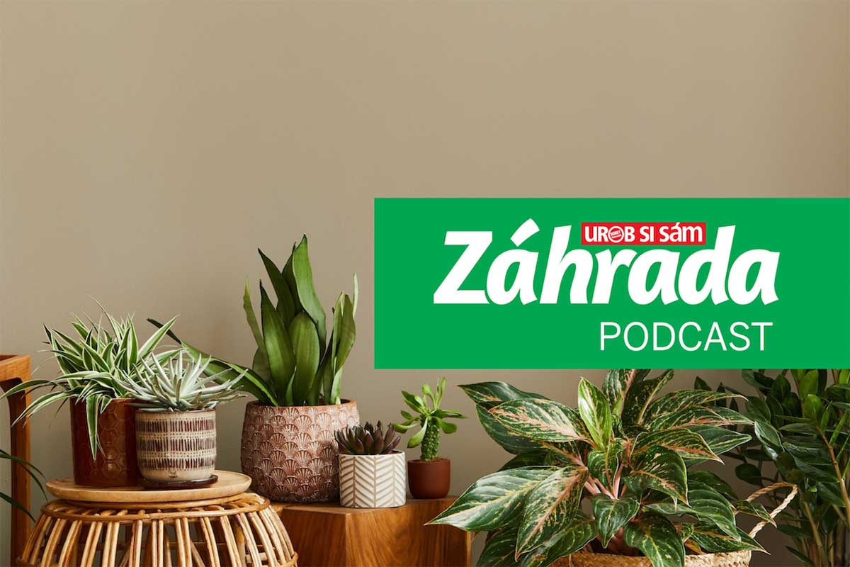 Podcast Záhrada o pestovaní izbových rastlín