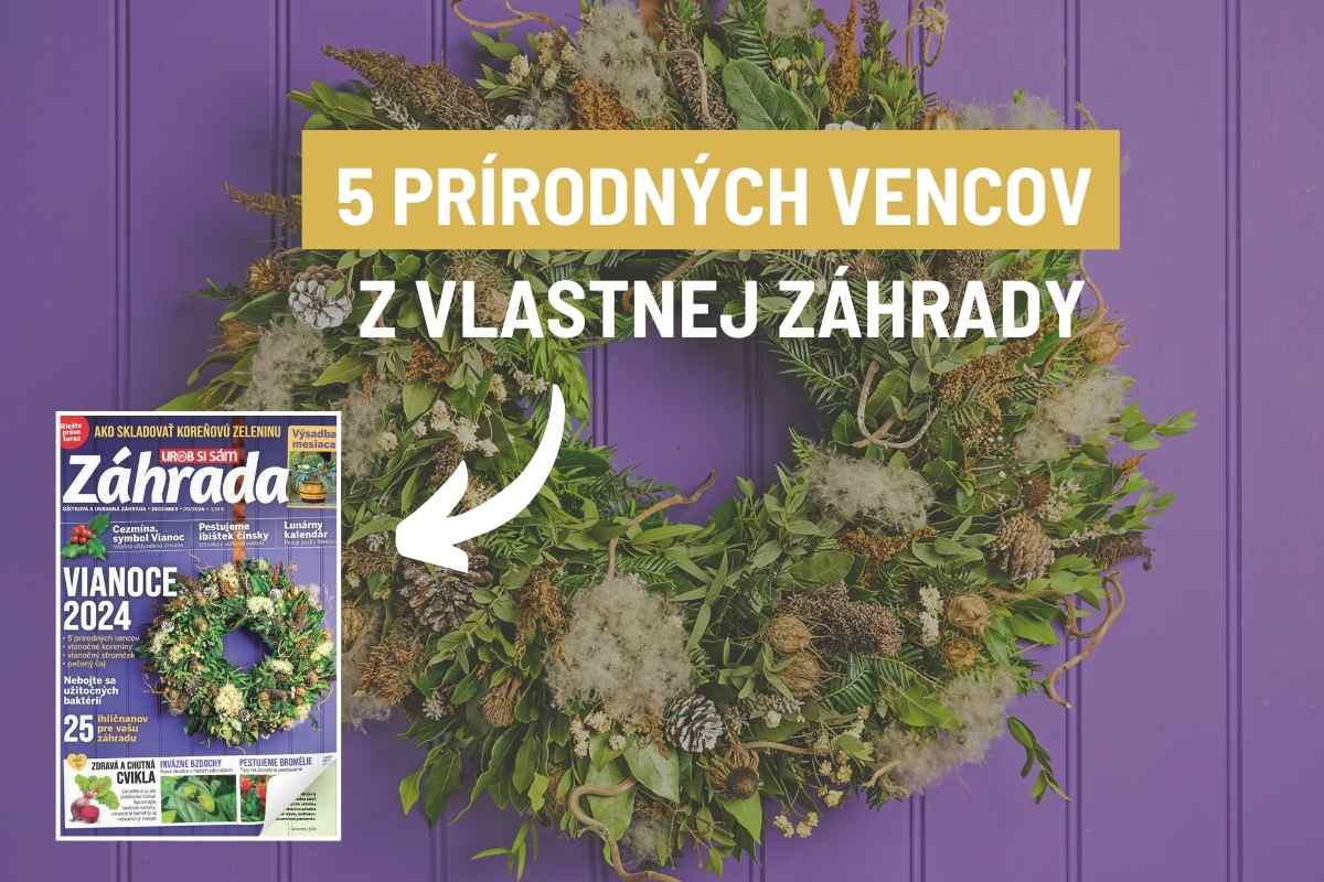 Článok o výrobe prírodných vianočných vencov z časopisu Záhrada