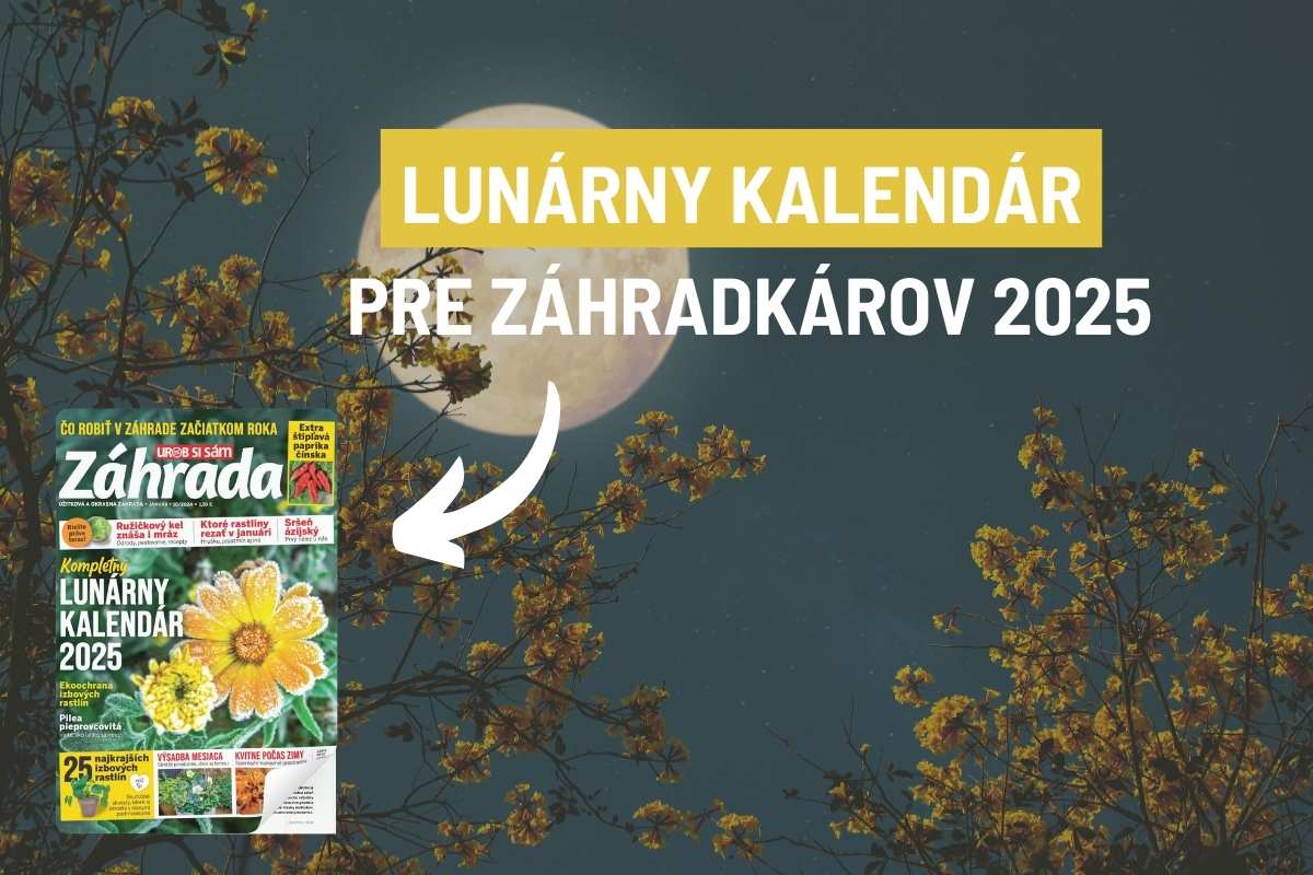 Celoročný lunárny kalendár pre záhradkárov v časopise