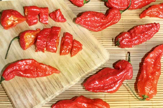 Odroda Bhut Jolokia Red