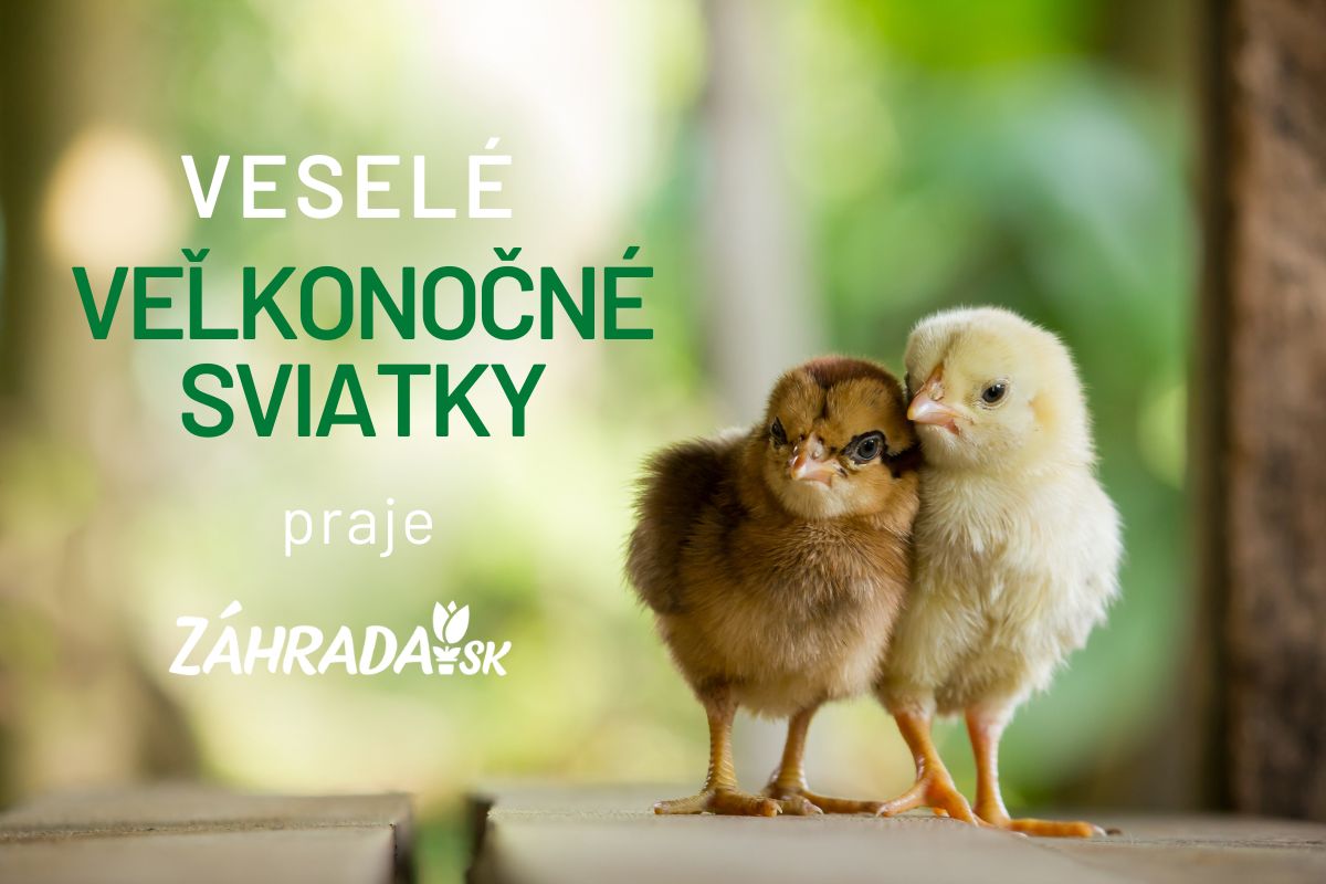 Veľkonočné prianie záhradkárom